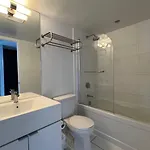 Modern Oasis In The Core